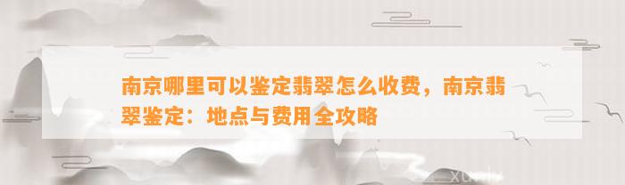 南京哪里可以鉴定翡翠怎么收费，南京翡翠鉴定：地点与费用全攻略