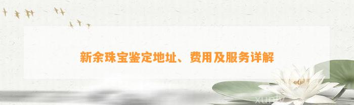 新余珠宝鉴定地址、费用及服务详解