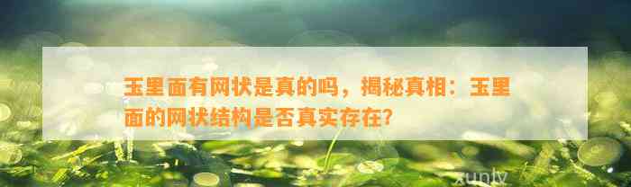 玉里面有网状是真的吗，揭秘真相：玉里面的网状结构是不是真实存在？