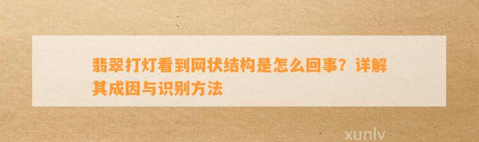 翡翠打灯看到网状结构是怎么回事？详解其成因与识别方法