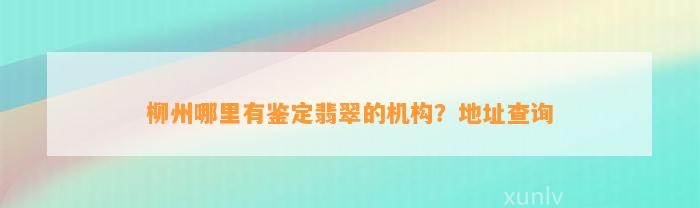 柳州哪里有鉴定翡翠的机构？地址查询