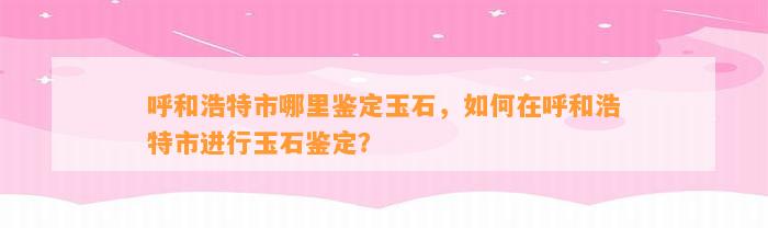 呼和浩特市哪里鉴定玉石，怎样在呼和浩特市实施玉石鉴定？