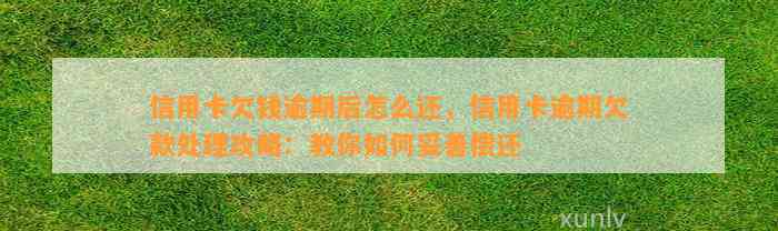 信用卡欠钱逾期后怎么还，信用卡逾期欠款处理攻略：教你如何妥善偿还