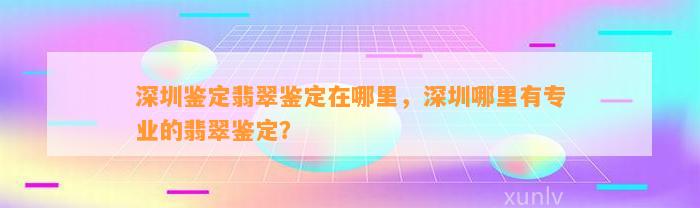 深圳鉴定翡翠鉴定在哪里，深圳哪里有专业的翡翠鉴定？