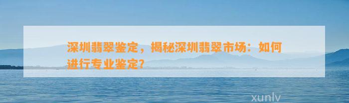 深圳翡翠鉴定，揭秘深圳翡翠市场：怎样实施专业鉴定？