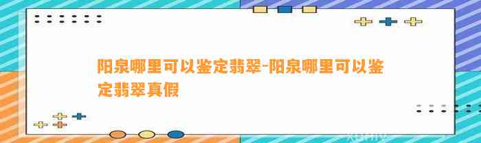 阳泉哪里可以鉴定翡翠-阳泉哪里可以鉴定翡翠真假