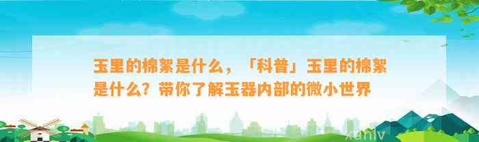 玉里的棉絮是什么，「科普」玉里的棉絮是什么？带你熟悉玉器内部的微小世界