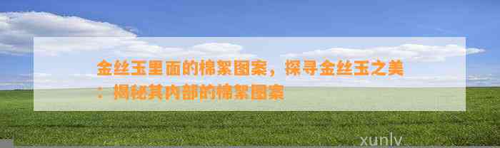 金丝玉里面的棉絮图案，探寻金丝玉之美：揭秘其内部的棉絮图案