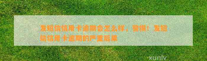 发短信信用卡逾期会怎么样，警惕！发短信信用卡逾期的严重后果