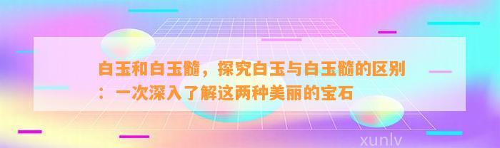 白玉和白玉髓，探究白玉与白玉髓的区别：一次深入熟悉这两种美丽的宝石