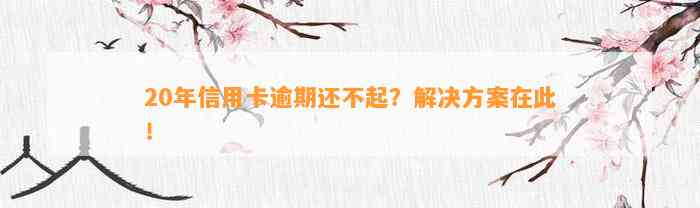 20年信用卡逾期还不起？解决方案在此！