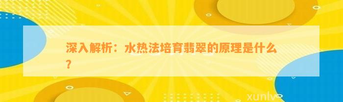 深入解析：水热法培育翡翠的原理是什么？