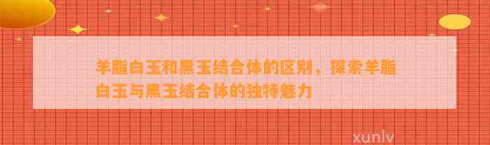 羊脂白玉和黑玉结合体的区别，探索羊脂白玉与黑玉结合体的特别魅力