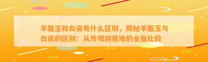 羊脂玉和白瓷有什么区别，揭秘羊脂玉与白瓷的区别：从外观到质地的全面比较