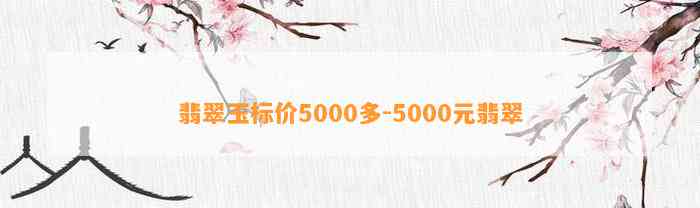 翡翠玉标价5000多-5000元翡翠