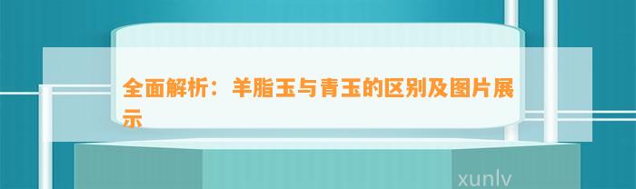 全面解析：羊脂玉与青玉的区别及图片展示