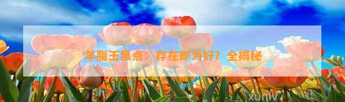 羊脂玉黑点：存在即为好？全揭秘