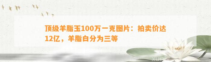 顶级羊脂玉100万一克图片：拍卖价达12亿，羊脂白分为三等