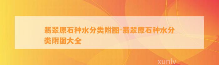 翡翠原石种水分类附图-翡翠原石种水分类附图大全