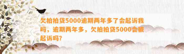 欠拍拍贷5000逾期两年多了会起诉我吗，逾期两年多，欠拍拍贷5000会被起诉吗？