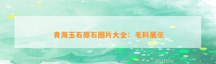 青海玉石原石图片大全：毛料展示