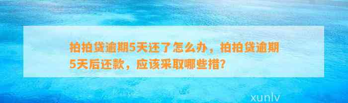 拍拍贷逾期5天还了怎么办，拍拍贷逾期5天后还款，应该采取哪些措？