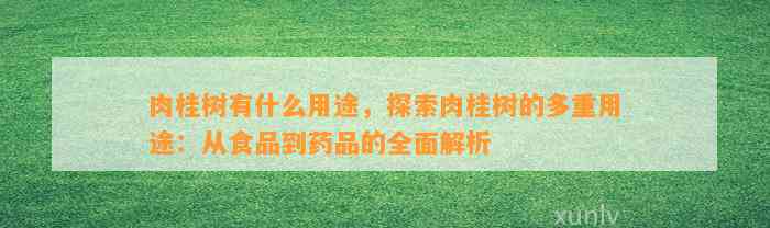 肉桂树有什么用途，探索肉桂树的多重用途：从食品到药品的全面解析