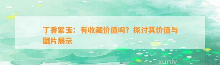 丁香紫玉：有收藏价值吗？探讨其价值与图片展示