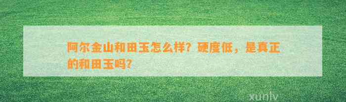 阿尔金山和田玉怎么样？硬度低，是真正的和田玉吗？