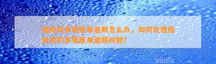 拍拍贷多笔账单逾期怎么办，如何处理拍拍贷的多笔账单逾期问题？