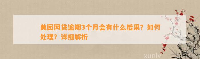 美团网贷逾期3个月会有什么后果？如何处理？详细解析