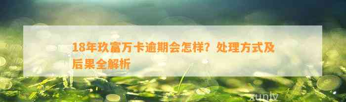 18年玖富万卡逾期会怎样？处理方式及后果全解析