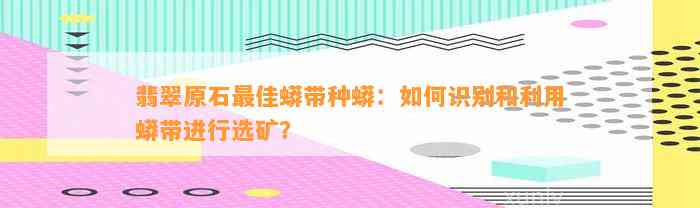 翡翠原石最佳蟒带种蟒：怎样识别和利用蟒带实施选矿？