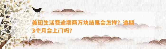 美团生活费逾期两万块结果会怎样？逾期3个月会上门吗？