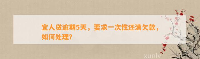 宜人贷逾期5天，要求一次性还清欠款，如何处理？