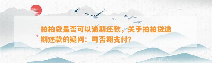 拍拍贷是否可以逾期还款，关于拍拍贷逾期还款的疑问：可否期支付？