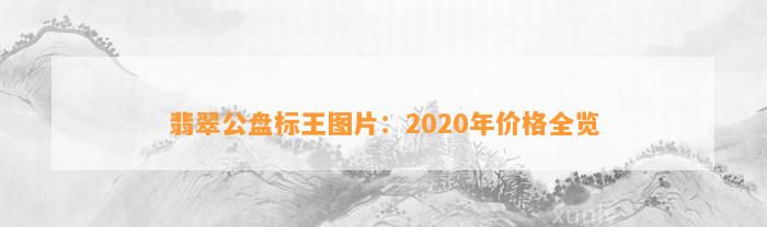 翡翠公盘标王图片：2020年价格全览