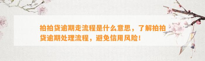 拍拍贷逾期走流程是什么意思，了解拍拍贷逾期处理流程，避免信用风险！