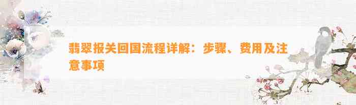 翡翠报关回国流程详解：步骤、费用及留意事项