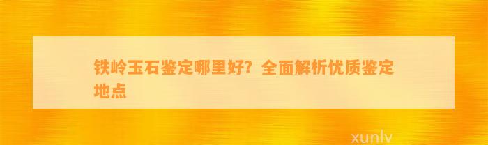 铁岭玉石鉴定哪里好？全面解析优质鉴定地点