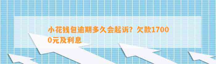 小花钱包逾期多久会起诉？欠款17000元及利息