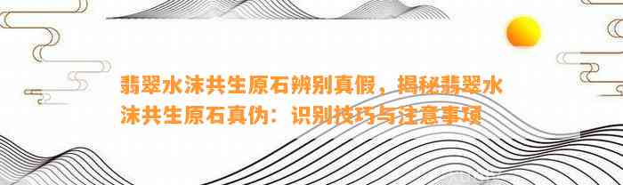 翡翠水沫共生原石辨别真假，揭秘翡翠水沫共生原石真伪：识别技巧与留意事项