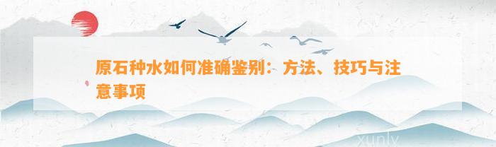 原石种水怎样准确鉴别：方法、技巧与留意事项