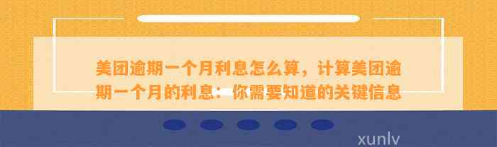 美团逾期一个月利息怎么算，计算美团逾期一个月的利息：你需要知道的关键信息