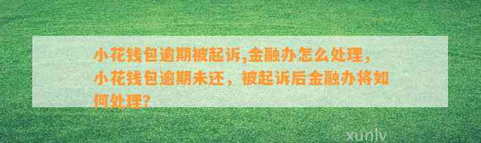 小花钱包逾期被起诉,金融办怎么处理，小花钱包逾期未还，被起诉后金融办将如何处理？