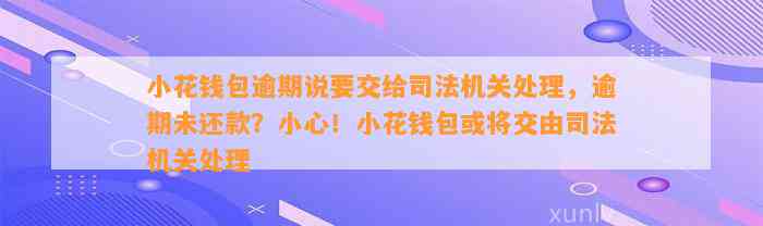 小花钱包逾期说要交给司法机关处理，逾期未还款？小心！小花钱包或将交由司法机关处理