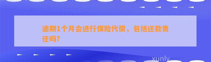 逾期1个月会进行保险代偿，包括还款责任吗？