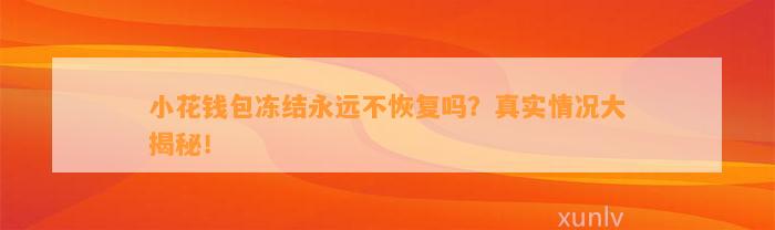 小花钱包冻结永远不恢复吗？真实情况大揭秘！