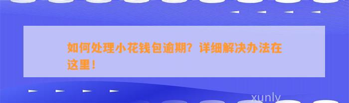 如何处理小花钱包逾期？详细解决办法在这里！