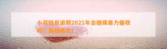 小花钱包逾期2021年会继续暴力催收吗？真相曝光！